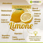 Limoni Biologici