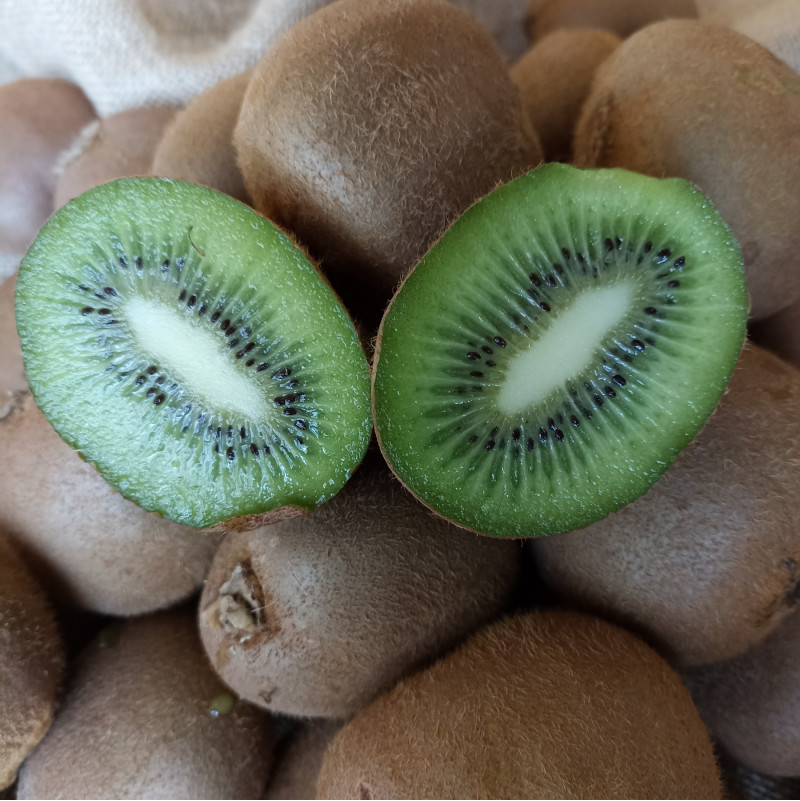 KIWI