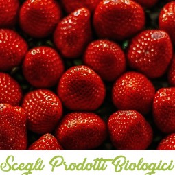 Fragole Biologiche