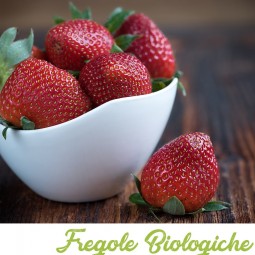 Fragole Biologiche